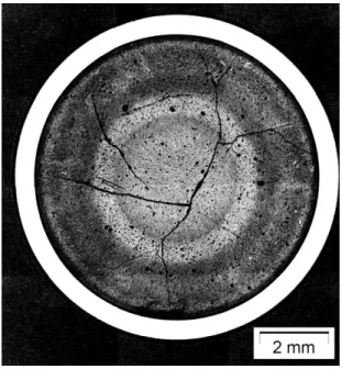 Figure  5.  Macrograph  of  a  radial  cut  of  a  83 GWd/tU  sample.  Chemical  etching  revealed  small  bubbles  and  grain  boundaries