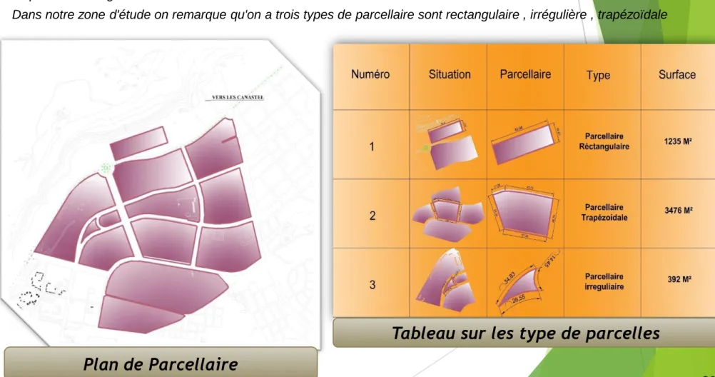 Tableau sur les type de parcelles