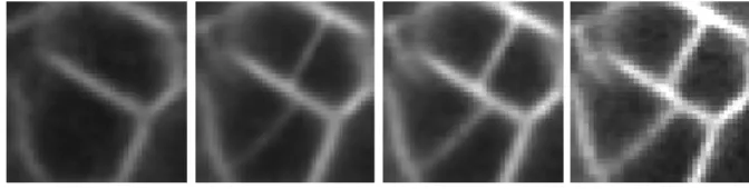 Fig. 4. Nearest neighbor resampling. First row, L 0 (at left) and its resampled versions at t ∈ {0.33, 0.66, 1} (at right)