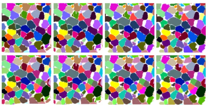 Fig. 7. First row, L 0 (at left) and its resampled versions at t ∈ {0.33, 0.66, 1} (at right)