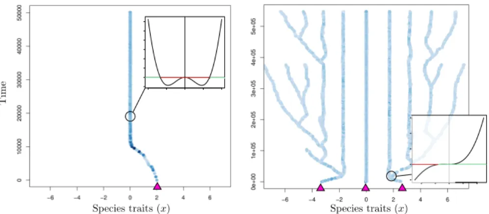 Fig. 1 Diversity triggers diversification. Two example simulations are shown. Starting from one initial species, a fitness maximum is attained and no further evolution occurs (left)