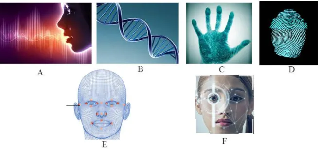 Figure 1 : Quelques biométries physiologiques : A- Voix, B- ADN, C- Forme de la main, D-  Empreinte digitale, E- Visage, F- Iris 