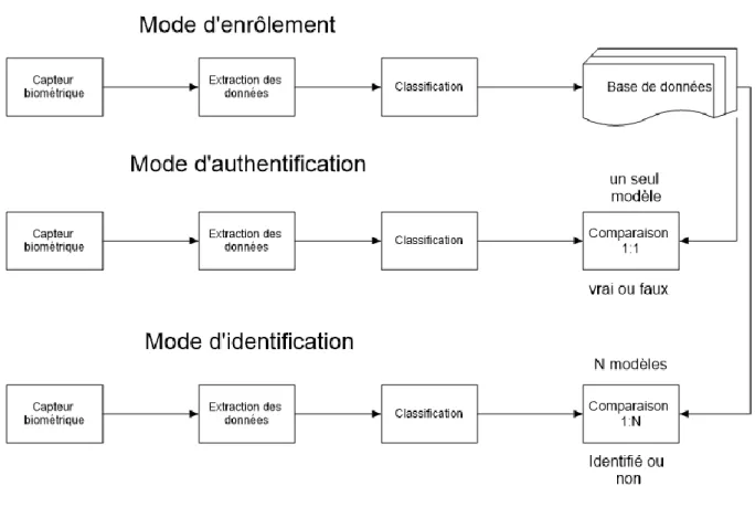 Figure 8: Structure d'un système biométrique 