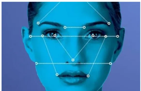 Figure 11 : quelques points caractéristiques du visage  II.8.1.  Quelques principales techniques de reconnaissance faciale 2D 
