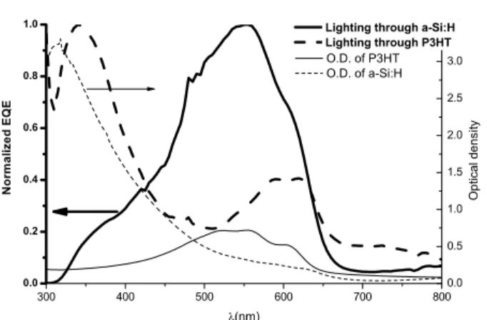 Fig. 6. Spectral response (bold) of the device ITO/a- ITO/a-Si:H(n)/a-Si:H(i)/P3HT/Pd when illuminated through silicon (plain) or P3HT (dashed line) and absorption spectra (light) of P3HT (plain) and amorphous silicon (dotted line).