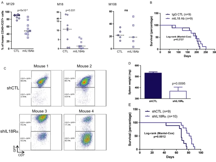 Figure 4. Interfering with IL-18 activity delays leukaemia progression in xenografted mice.