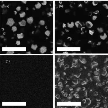Fig. 1 Spherical and icosahedral vesicles below the inwards buckling transition. Confocal microscopy images (Rhodamine 6G channel) of (a) as-prepared vesicles with encapsulated Rhodamine 6G (b) the same after incubation in 0.5 mM NaCl (c) and (d) selected 