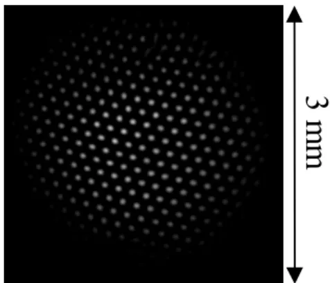 Fig. 2 Example of optomechanical patterns.