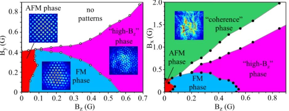 Fig. 4 Magnetic phase-space of spin patterns. B x is the transverse component of the mag- mag-netic field parallel to the input polarization, B y the transverse component of the magnetic field orthogonal to the input polarization, and B z the component of 