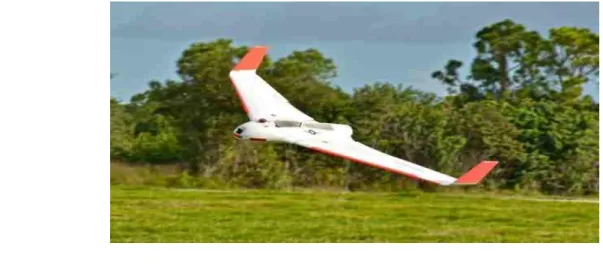 Figure I.8 : Les drones aux ailes fixes 