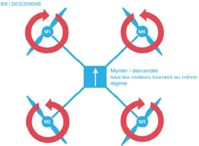 Figure II.5 : Illustration du mouvement vertical 