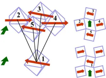 FIG. 6: With ferromagnetic coupling of the in-plane magnetic moment, as shown (green arrow), transverse hopping occurs within a magnetic sublattice of equivalent Ir, 1-5-3