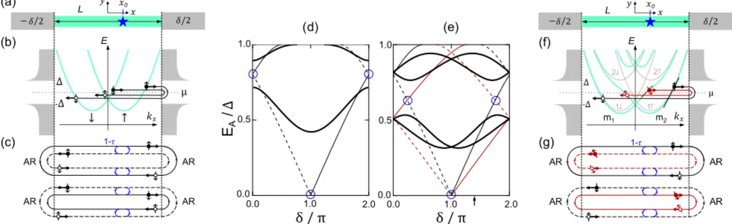 FIG. 1. Effect of the Rashba spin-orbit coupling (RSO) on Andreev levels. (a) Weak link of length L between superconductors with phase difference δ