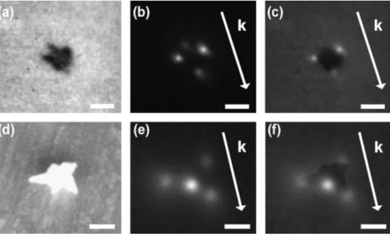 Fig. 9. High-resolution near-ﬁeld mapping of individual colloidal nanostar shaped particles