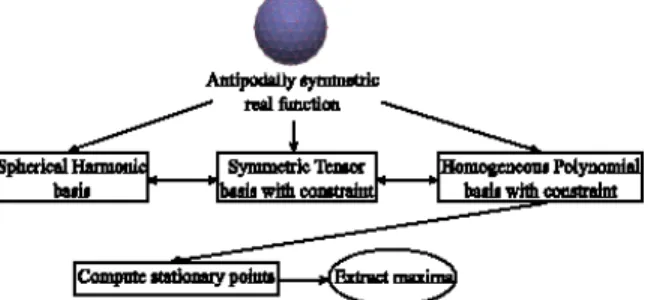 Fig. 2. An antipodally symmetric spherical function (ASSF) can be represented in three equivalent bases – spherical harmonics, symmetric tensor constrained to the sphere, or homogeneous polynomial (HP) constrained to the sphere