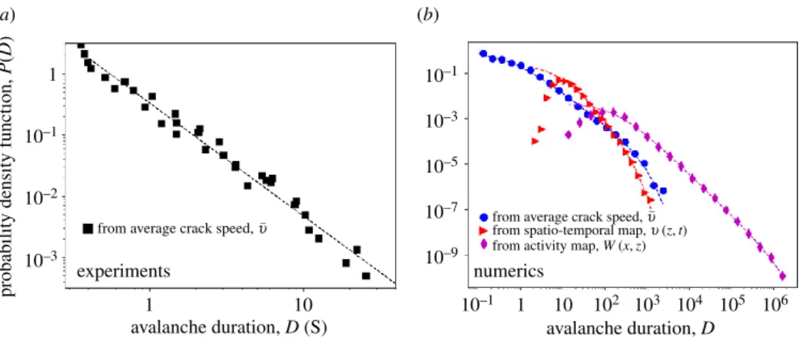 Figure 5. Distribution of individual event duration P(D) for experiments (a) and simulations (b)