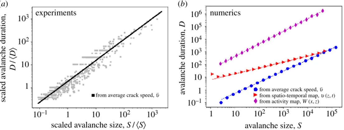 Figure 6. Scaling between avalanche sizeS and duration Dfor experiment (a) and simulation (b)