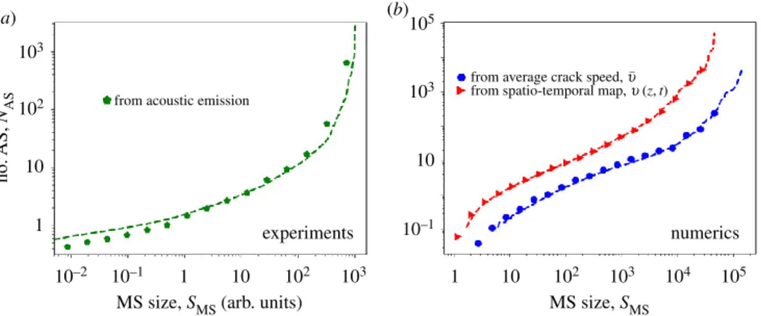 Figure 10. Mean AS number, N AS , as a function of the triggering MS size, S MS , for experiments (a) and simulations (b)