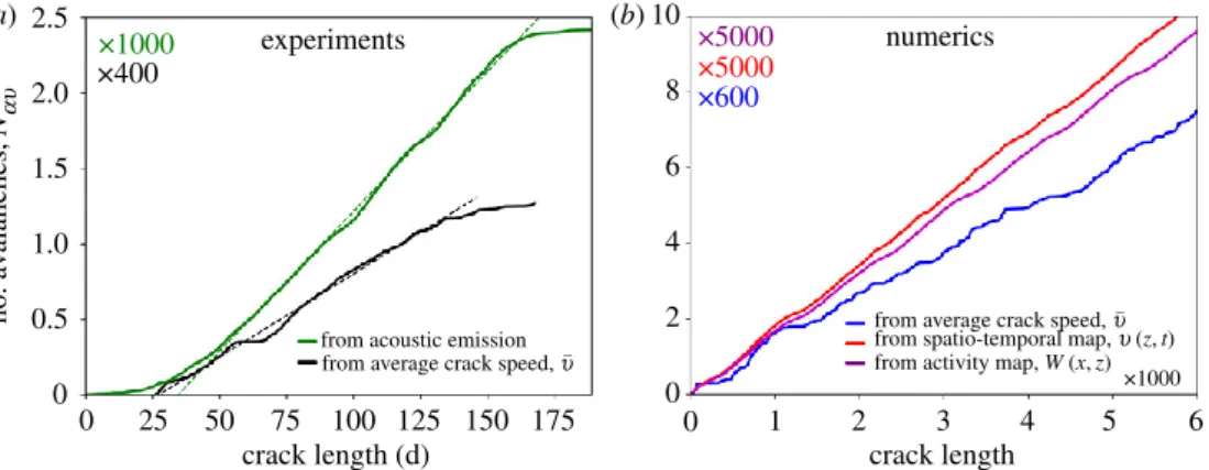 Figure 3. Cumulative number of events as a function of crack length for experiments (a) and simulations (b)