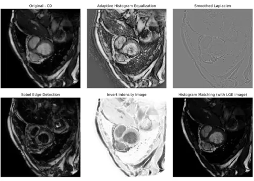 Fig. 2: Different variations of input training images and the image processing methods
