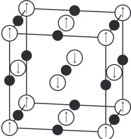 Fig. 1. UN rock-salt crystal structure showing antiferromagnetic order. White atoms are uranium while black atoms correspond to nitrogen atoms