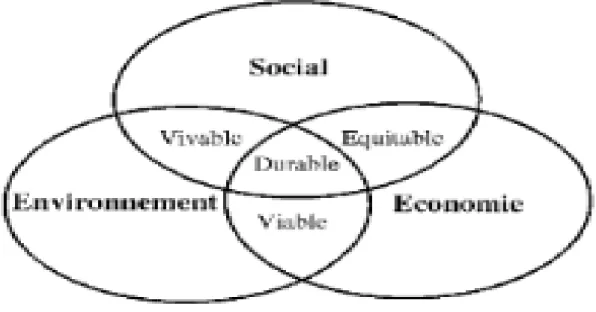 Figure 1 : Les dimensions du développement durable 