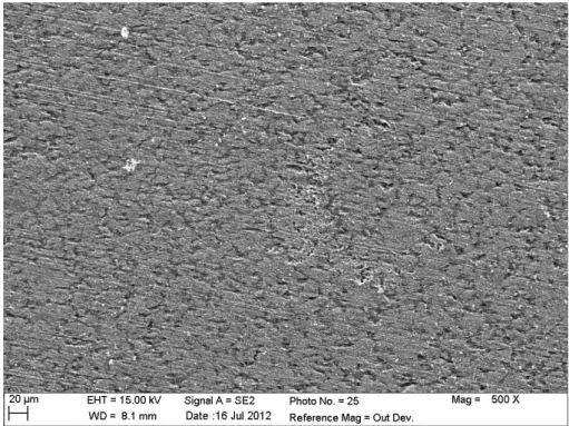 Figure 8: SEM image of the carbon steel substrate after 5 days of immersion in M1 solution  in biotic conditions.