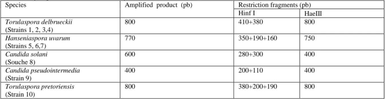 Table 4: Size in bp of the PCR products and the restriction fragments obtained with two different endonucleases (Hinf I and HaeII)of the  major species identified in this study  