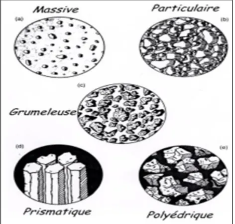 Figure 3 : Différentes structures de sol (Soltner et al., 2003). 