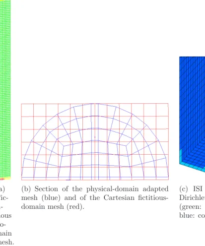 Figure 5: Physical domain adapted mesh, Cartesian fictitious domain mesh and immersed Dirichlet boundary conditions for the spread approximation of the interface.