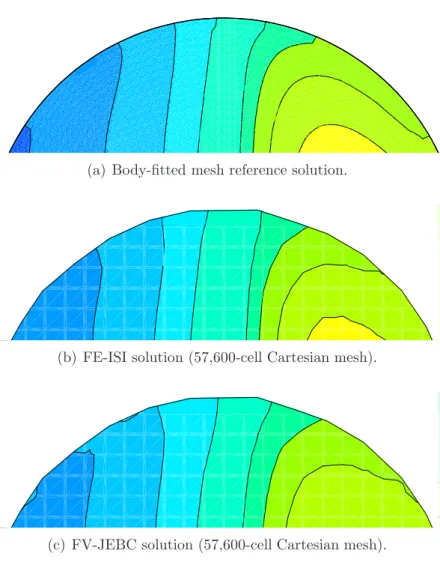 Figure 8: Zoom near the wall (immersed boundary) of the physical domain enthalpy isovalues