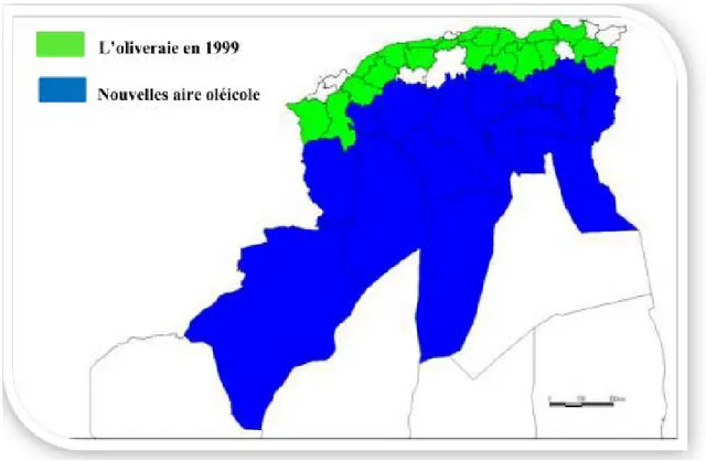 Figure 10 : Carte oléicole de l’Algérie (ITAFV, 2008). 