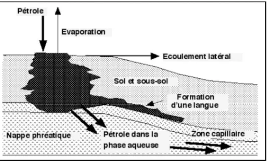 Figure n° 02 : Représentation schématique du devenir d'une pollution pétrolière à la  surface du sol