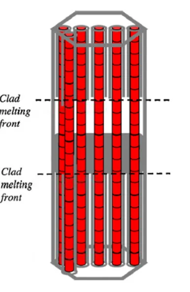 Figure 2: Graphical representation of the faulted sub-assembly during the accidental transient beyond clad melting phase [13]