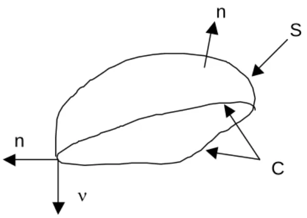 Fig. 3: An open surface evolving freely i n space 