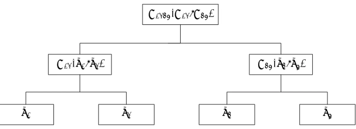 Figure 2: Partially Nested Copula illustration C 123 (C 12 , C 23 )