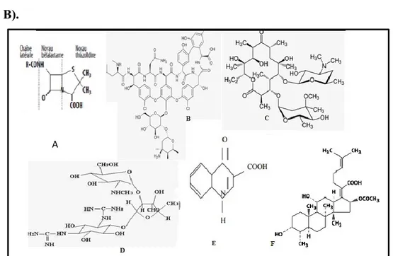 Fig. 10 : Les structures chimiques des cinq grandes familles des antibiotiques (Prescott et al