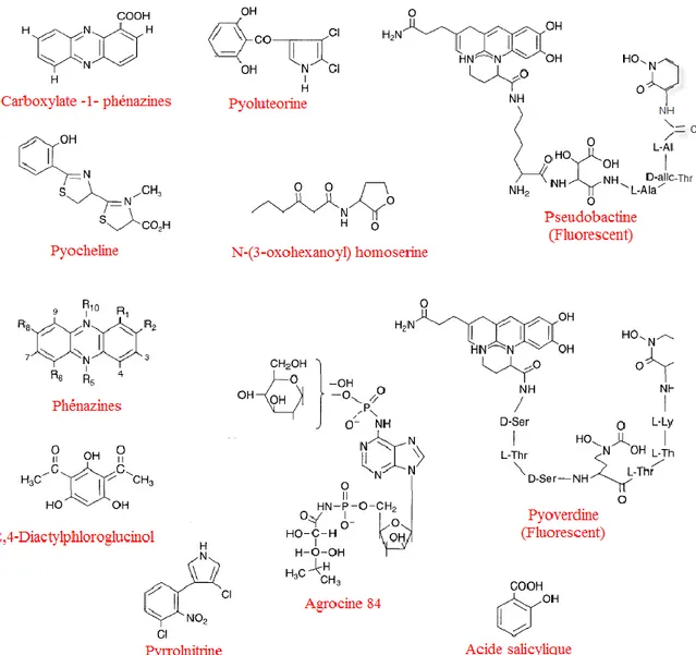 Figure  II.3.  Structure  de  quelques  métabolites  secondaires  produits  par  Pseudomonas  sp  impliqués dans le contrôle biologique des maladies des plantes (Dowling et O’gara, 1994)