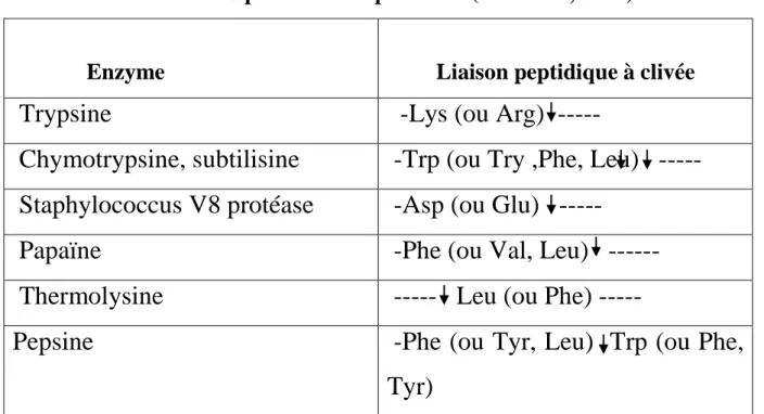 Tableau 2. Spécificité des protéases (Rao et al., 1998). 