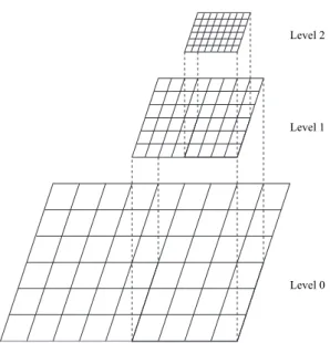 Fig. 4. Example of hierarchical nested meshes used with a local multi-grid method.