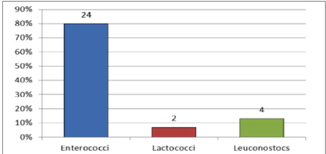 Figure 07 : La répartition en pourcentage des 30 souches isolées à partir des échantillons de l’ben Algérien 