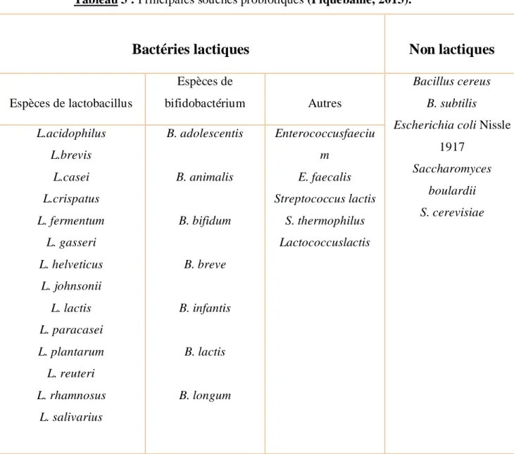 Tableau 3 : Principales souches probiotiques (Piquebaille, 2013). 