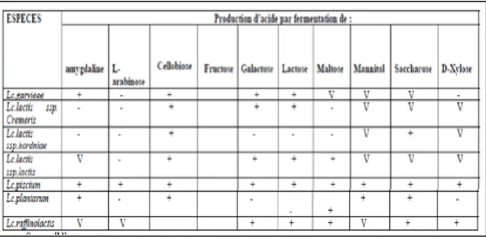 Tableau  10:  Profil  fermentaire  du  genre  Lactococcus  (De  Roissart  et  Luquet,  1994).et  Luquet,1994)