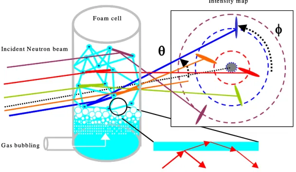 Figure 3. Sketch of a foam produced by bubbling in a cell with incident and reflected beams  on  some  of  the  cell  walls