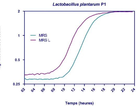 Figure 16 : Cinétique de croissance Lactobacillus plantarum P1 en présence et en absence de  lactose