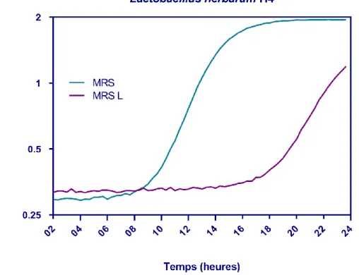 Figure 33 : Cinétique de croissance Lactobacillus herbarum H4 en présence et en absence de  lactose