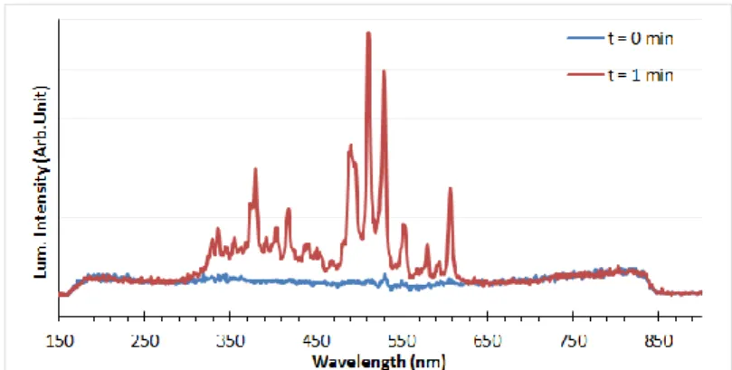 Fig. 1. Luminescence spectrum of ThO 2  during 21 MeV He 2+  and 50nA ion flow       3.2 Visual Inspection 