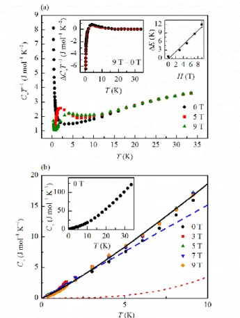 FIG.  2.  (Color  online)  (a)  C v T   –1   of  DQVOF  against  temperature measured in ZF and applied fields of 5 T and  9 T