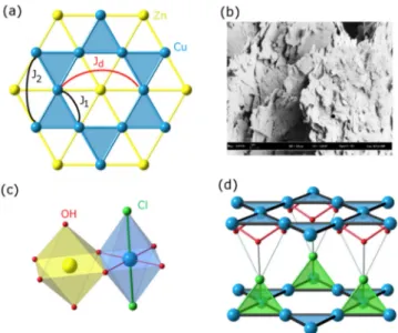 FIG. 1. (Color online) (a) The kagome magnetic pattern arises from the regular arrangement of Cu 2+ (S = 1 2 ) within a Cu/Zn triangular lattice (Cu in blue, Zn in yellow)