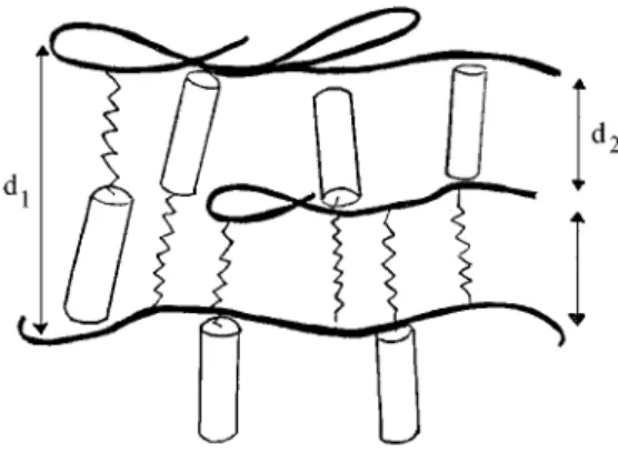 Fig. 3. – Schematic representation of the organization in “double-layer” packing of the liquid- liquid-crystalline polyacrylate.